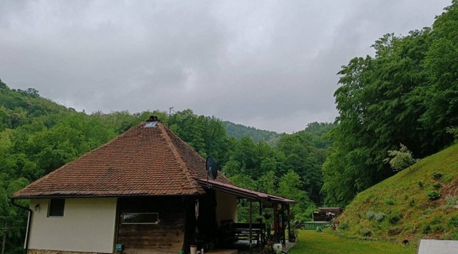Kuca kljuc u ruke sa plantazom borovnice - 11