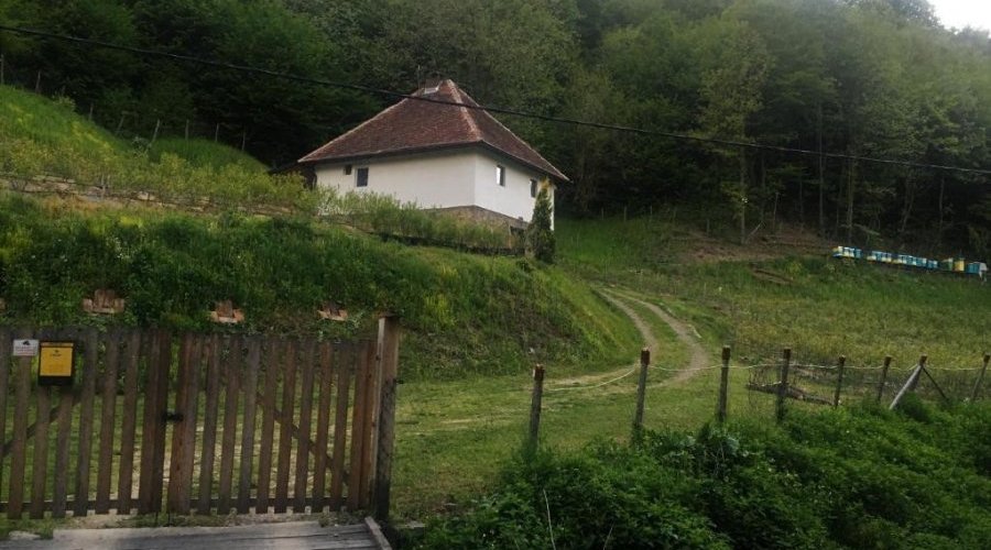 Kuca kljuc u ruke sa plantazom borovnice - 15