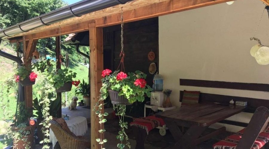 Kuca kljuc u ruke sa plantazom borovnice - 17