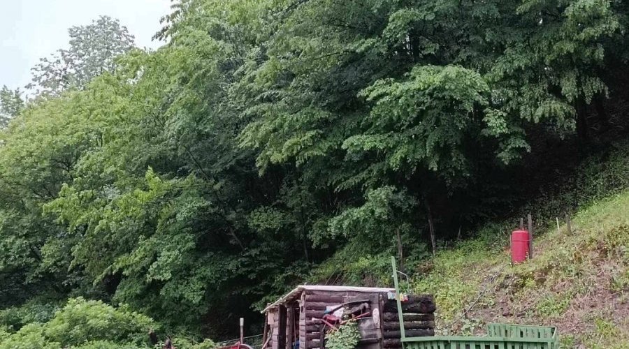 Kuca kljuc u ruke sa plantazom borovnice - 19