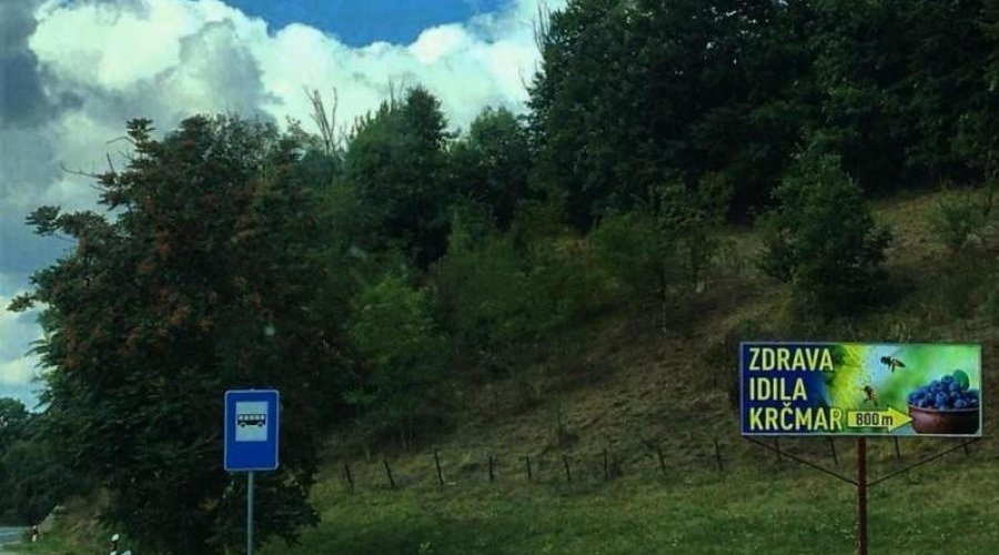 Kuca kljuc u ruke sa plantazom borovnice - 21