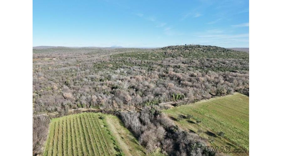 Poljoprivredno zemljište u blizini Bala 6052m2 - 3
