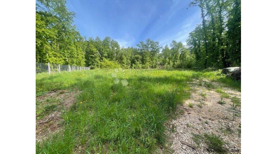 Istra - Brtonigla potpuno ravna građevinska parcela - 3