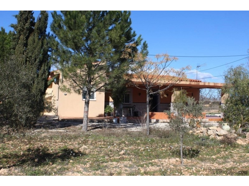 Country Finca Near Pinoso - 2
