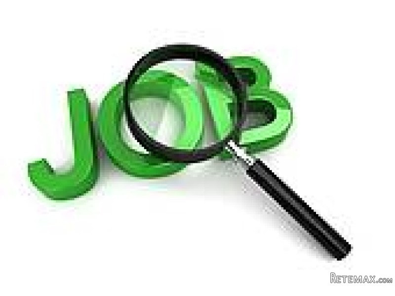 Golden Opportunity working at the HOME
