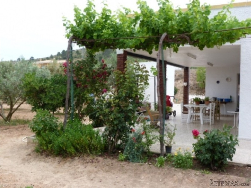 Hondon De Las Nieves, Alicante -.. - 2