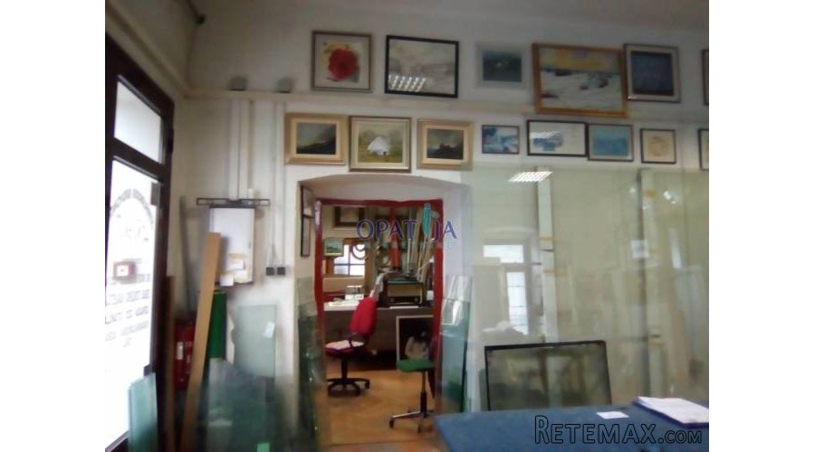 Sveti Ivan Zelina, stan 110 m2 s poslovnim prostorom 120 m2.. - 2