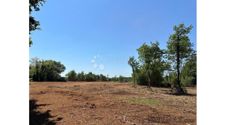 Istra – Muntić | Poljoprivredno zemljište 10.096 m2 - 2