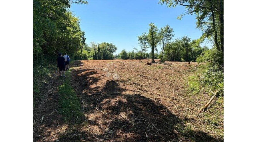 Istra – Muntić | Poljoprivredno zemljište 10.096 m2 - 3