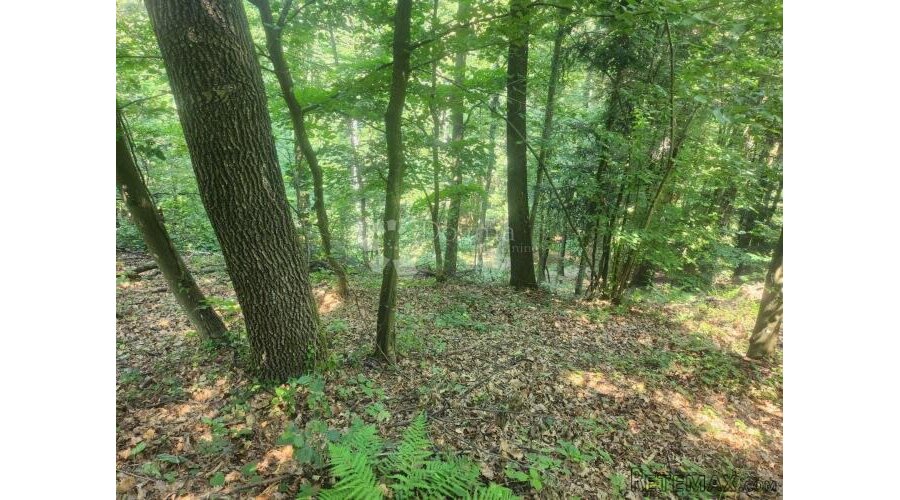 36.192m² zemljišta, šuma i oranice po atraktivnoj cijeni! - 2