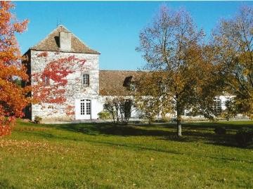 Reduced! Magnificent Chartreuse in a.. - 2