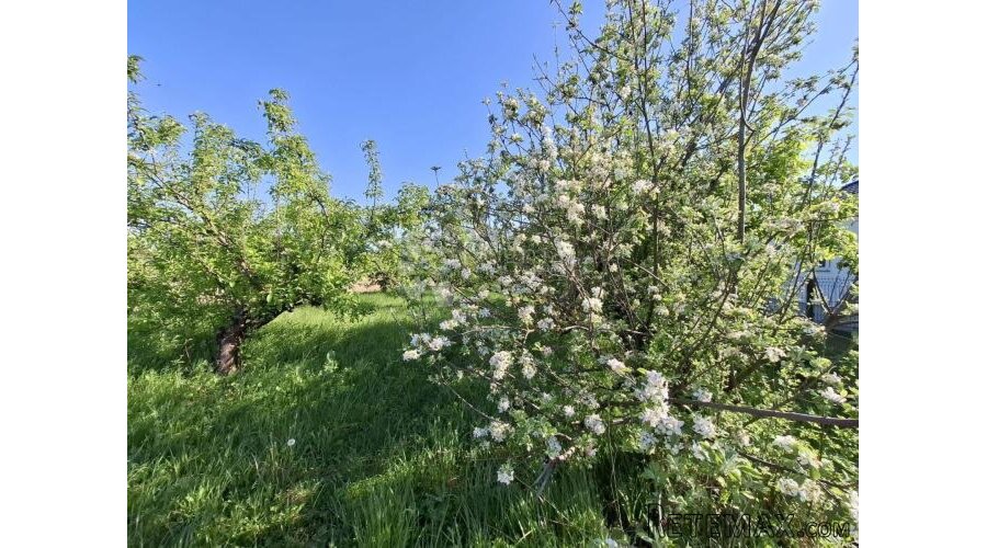 Mirna lokacija u Đakovu s voćnjakom! - 2