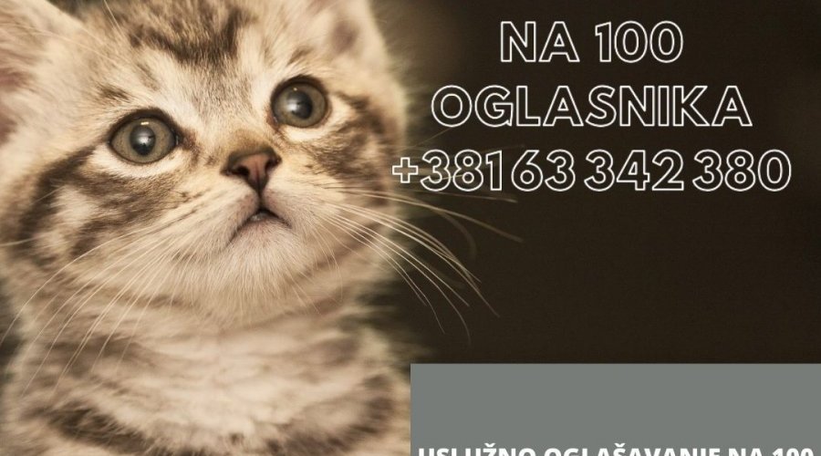 Uslužno internet oglasavanje na 50-100 oglasnika - 4