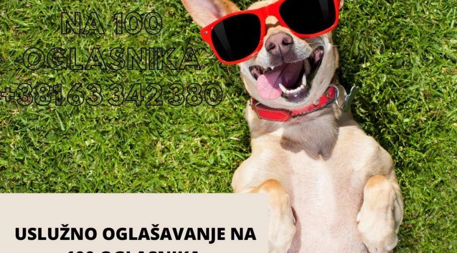 Uslužno internet oglasavanje na 50-100 oglasnika - 6