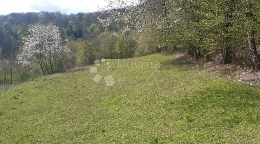 Građevinski teren, šuma i pašnjak na jezeru Sabljaci, Ogulin - 4