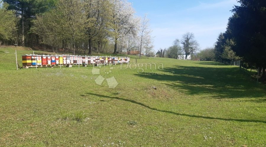 Građevinski teren, šuma i pašnjak na jezeru Sabljaci, Ogulin - 6