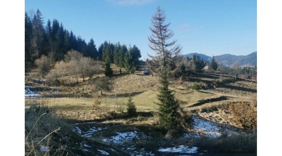 Zaovine/Vasiliči, 44ara - 16