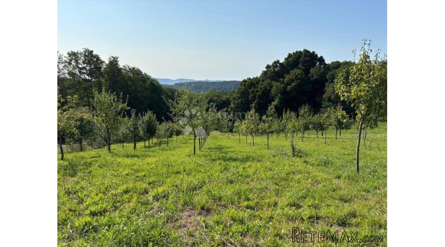 Na prodaju zemljište 8.631 m² s voćnjakom – mir i priroda ! - 2