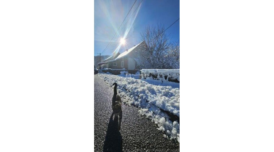 Gorski kotar, Lokve, samostojeća kuća, 180m2