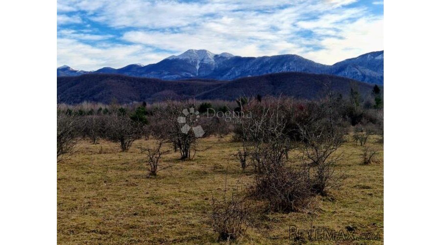 GRAĐEVINSKO ZEMLJIŠTE DIVOSELO 50093 m2 - 2