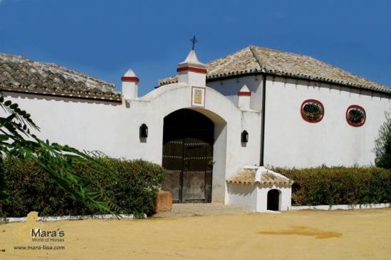 Cortijo Finca Country property Sevilla..