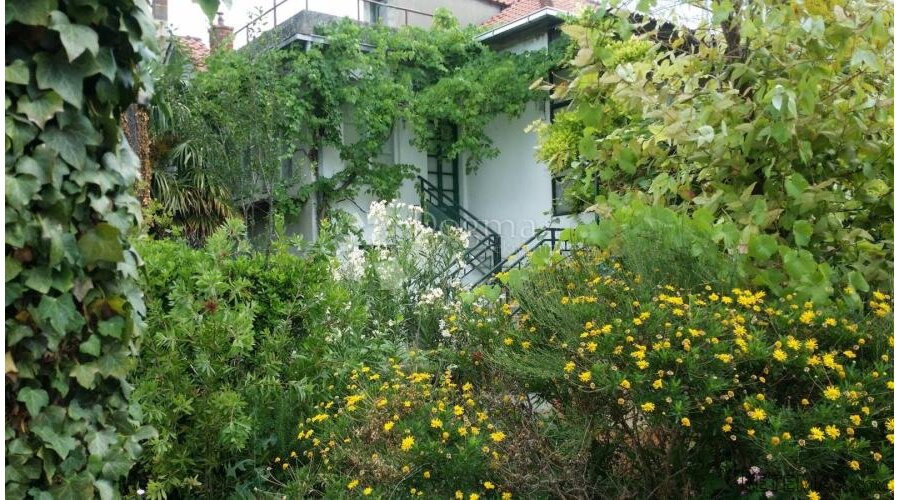Samostojeća kuća s velikom okućnicom – Kaštel Štafilić
