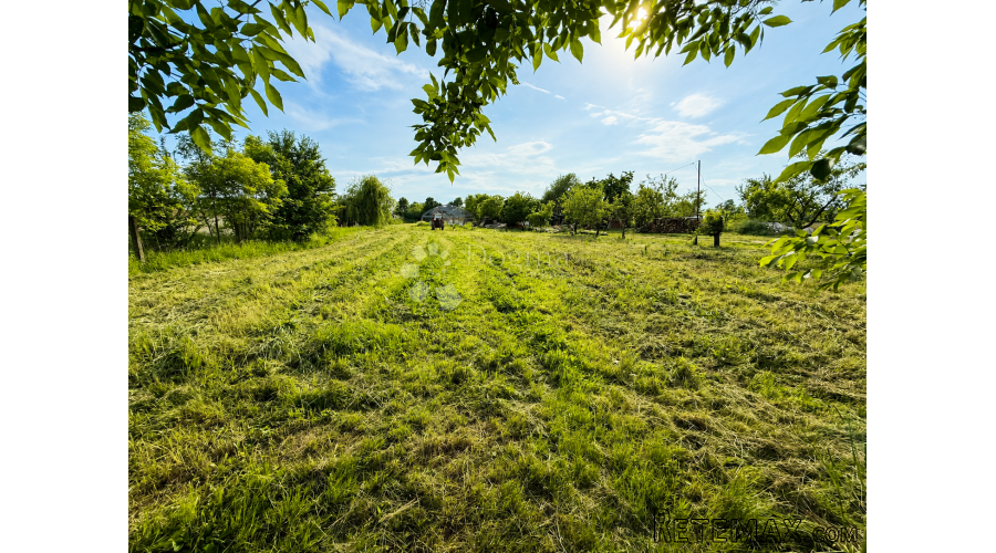 ORANICA 2.315 m² – SATNICA ĐAKOVAČKA - 3