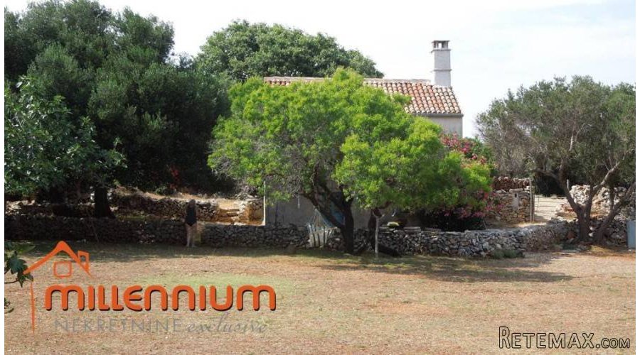 Otok Cres, kućica okružena s čak 77.300m2 zemljišta - 4