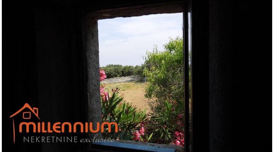 Otok Cres, kućica okružena s čak 77.300m2 zemljišta - 5