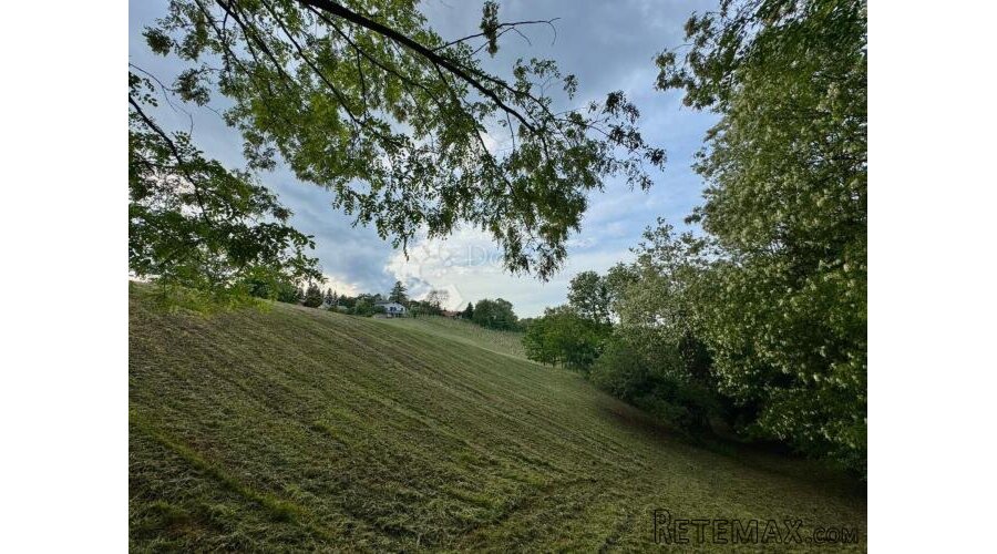 Građevinsko zemljište s vinogradom i panoramskim pogledom – - 3