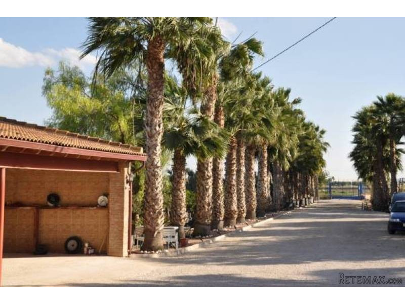 14 Bedroom 12 Bathroom Finca In..