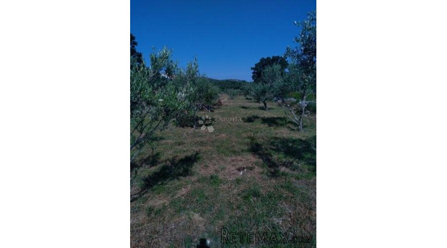 Građevinsko zemljište -1950m2-Vinjerac