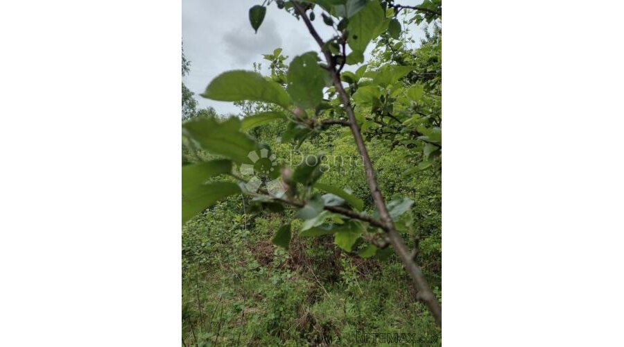 Zemljište za eko poljoprivredu, Dugo Selo Lasinjsko