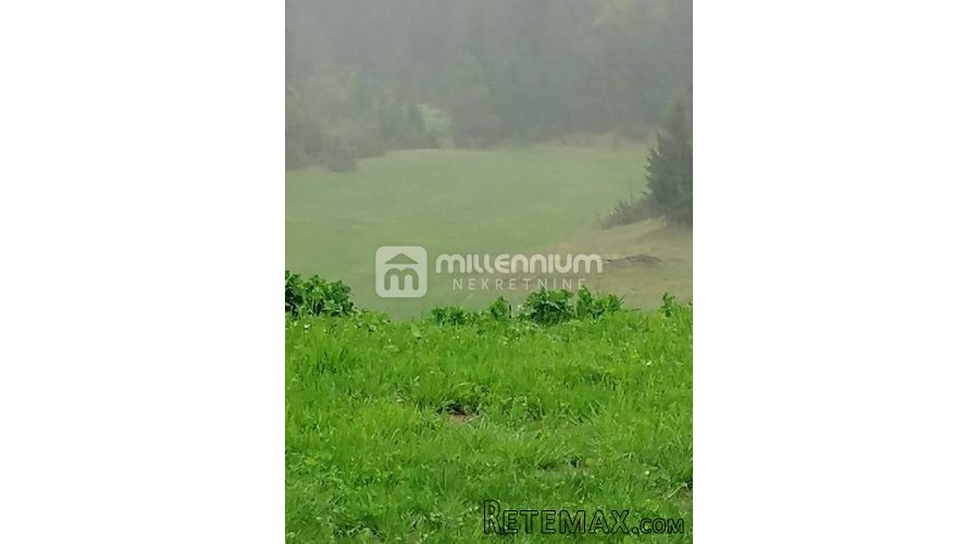 Gorski kotar, 30.000m2 zemljišta s jelenima - 3