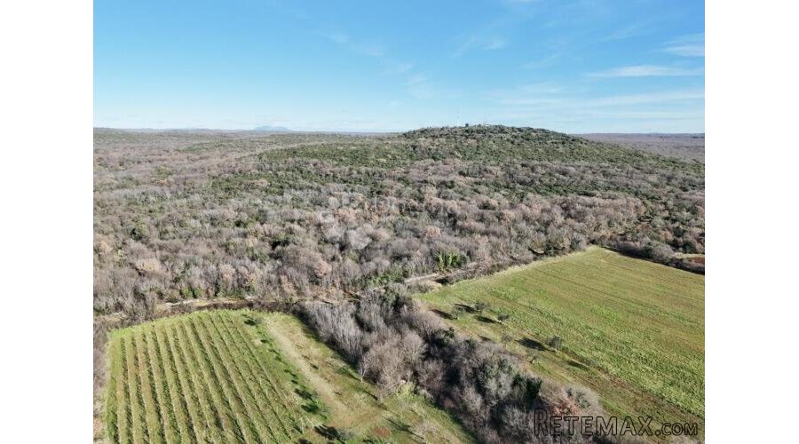 Poljoprivredno zemljište 3453m2,Bale-Istra