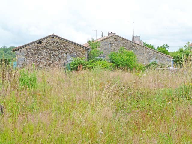 Cottage To Restore In The Charente Area..