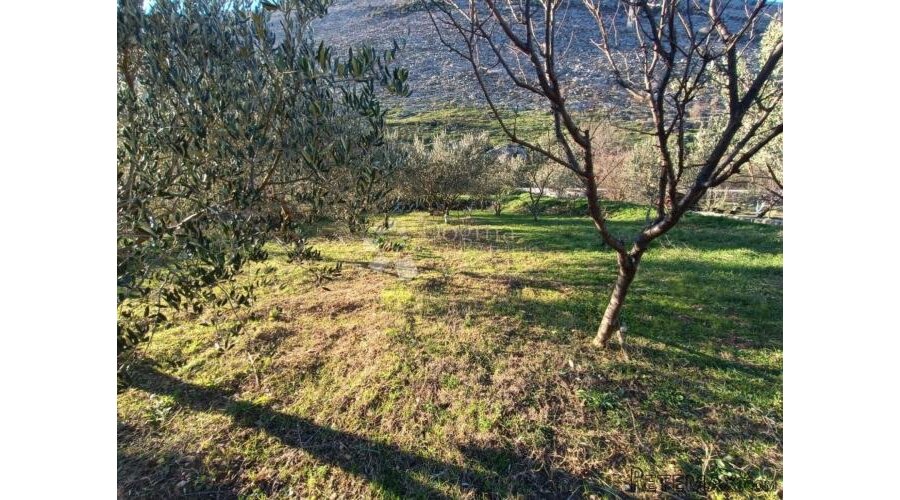 PRILIKA! POLJOPRIVREDNO ZEMLJIŠTE SRINJINE, SPLIT - 2
