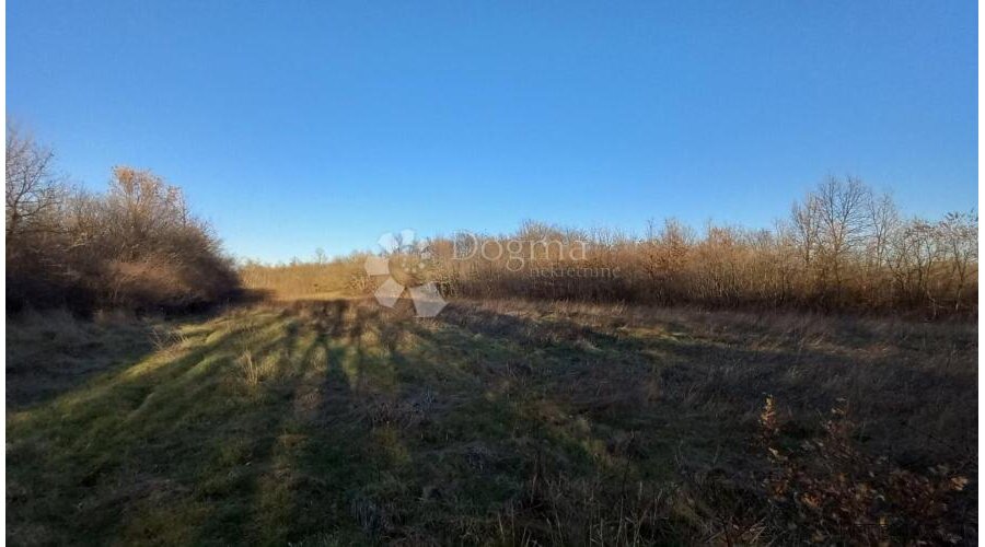 Poljoprivredno zemljište – Odlična Prilika! - 2