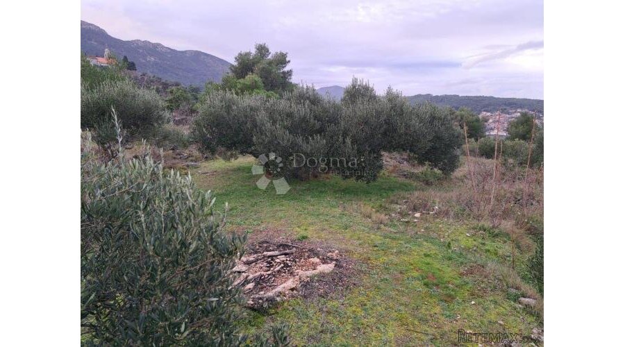 Poljoprivredno zemljište Hvar-Jelsa 9500m2 - 2