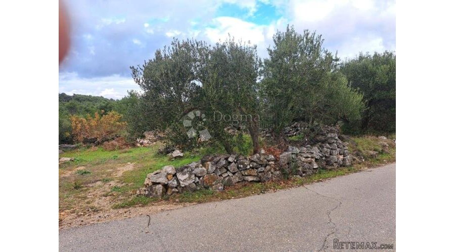 Poljoprivredno zemljište Hvar-Jelsa 9500m2 - 3