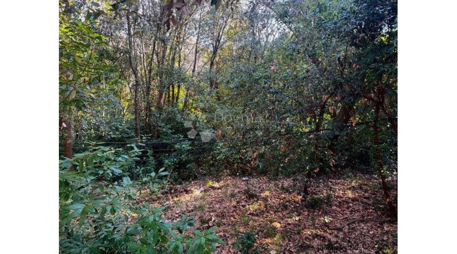 Investicijska parcela – građevinski dio i šumska zona za pri - 2