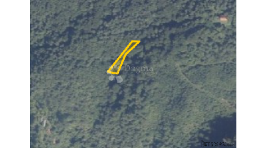 Šuma na Ravnoj gori - 2