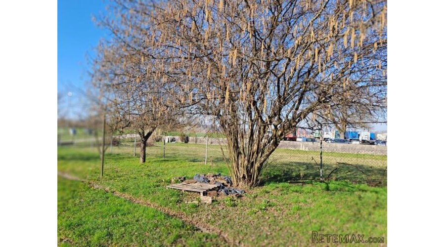 Velika kuća na odličnoj lokaciji - 2