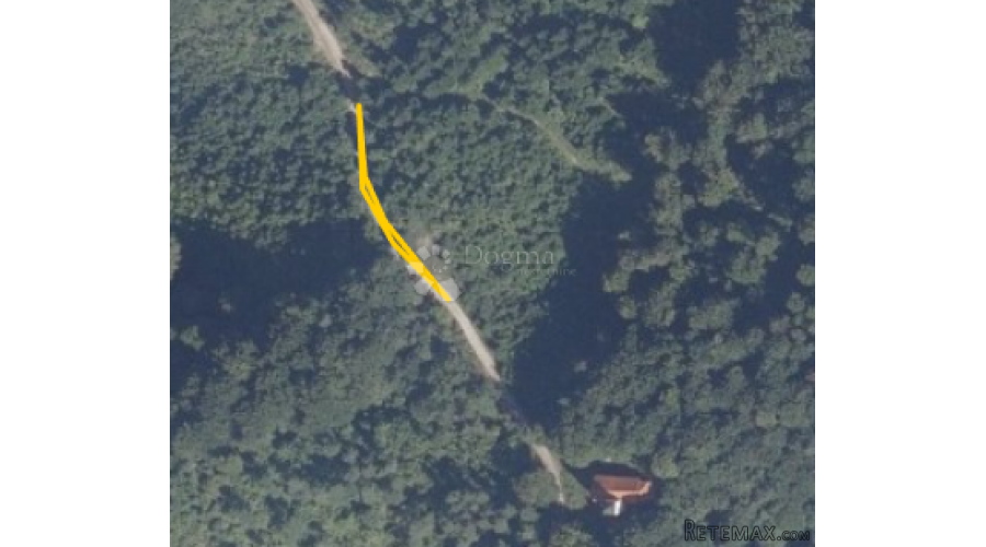 Šuma na Ravnoj gori - 3