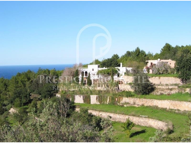 Magnificent authentic finca in the..