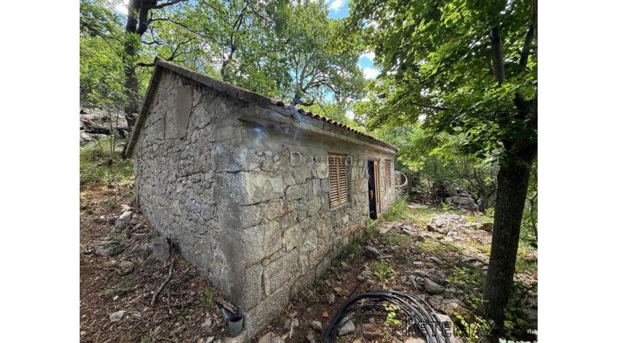 EGZOTIČNA ENDEMSKA KUĆA OSAMA + ZEMLJA - 2
