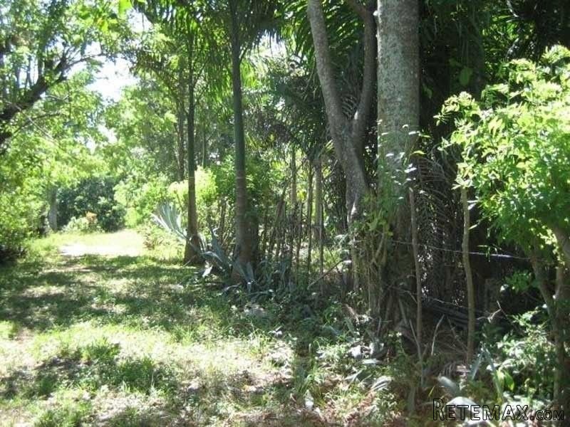 Finca Rainforest