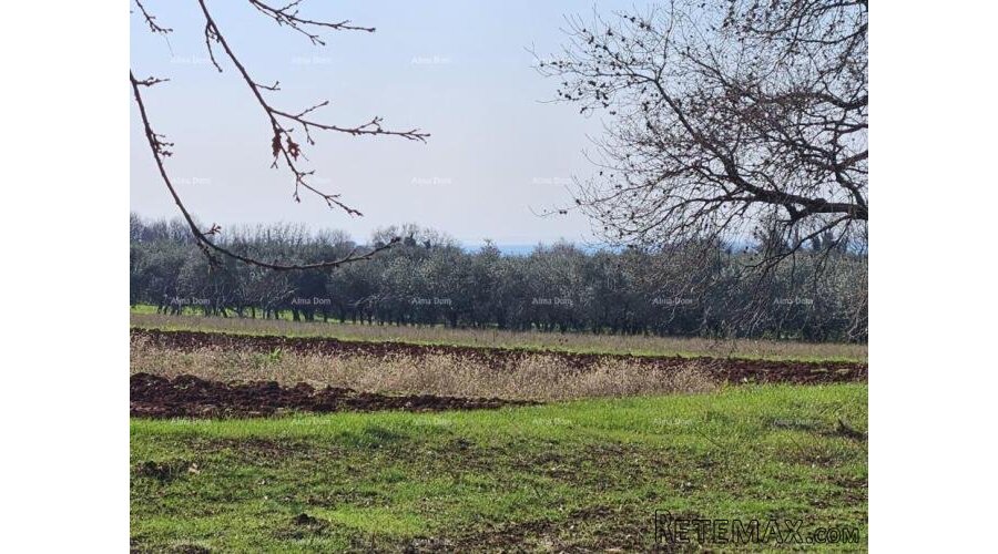 Prodaja građevinskog zemljišta s pogledom na more, Novigrad! - 2