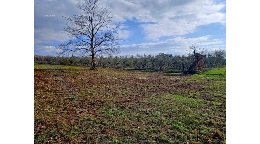 Prodaja građevinskog zemljišta s pogledom na more, Novigrad! - 3