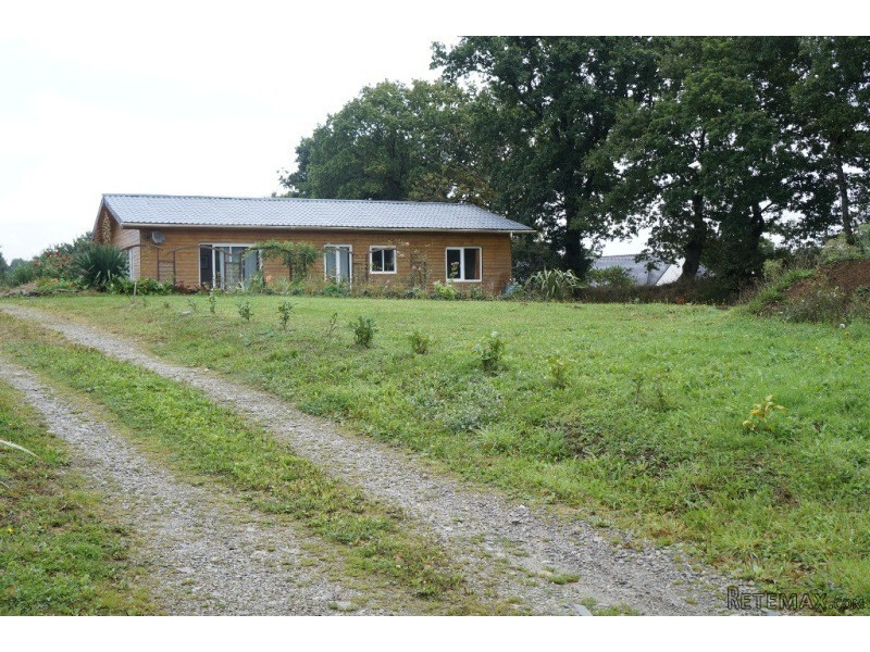 Chalet Style Detached House - 2